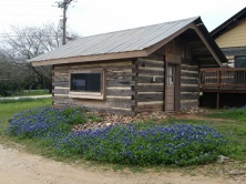 Exterior of a one-room rustin cabin. Grass, gravel and natural landscape with two large groupings of bluebonnets.